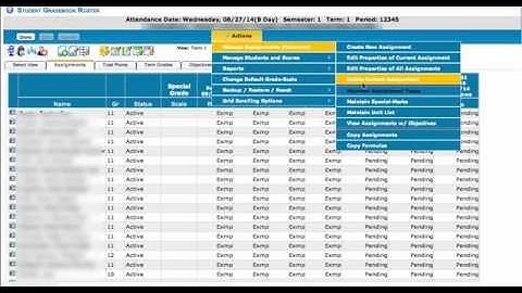 SIS setting special marks