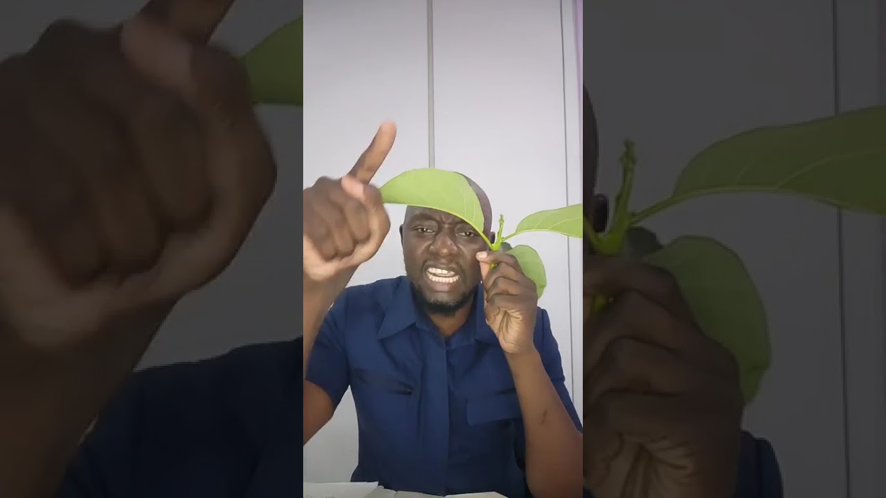 EMMANUEL JJ BANDA COMES FOR GIVEN LUBINDA AND HIS FAKE TONSE ALLIANCE 