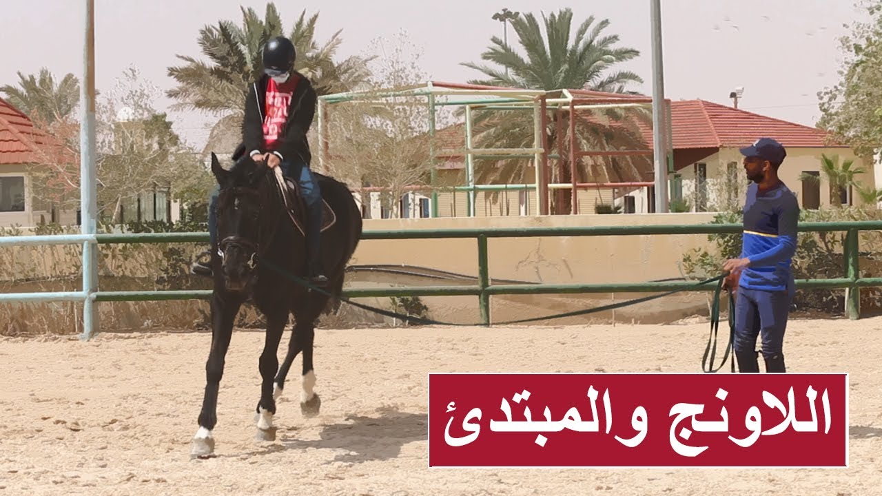 أهمية اللاونج للمبتدئ في ركوب الخيل - اساسيات ركوب الخيل - كيف ترفع من مستواك