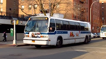 MTA New York City Bus: 1998-1999 Nova Bus RTS #4976 on the Q77 Bus & #5181 on the Q3 Bus.