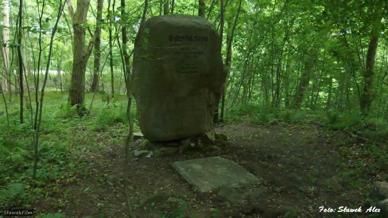 Walter Holzkamm 1918