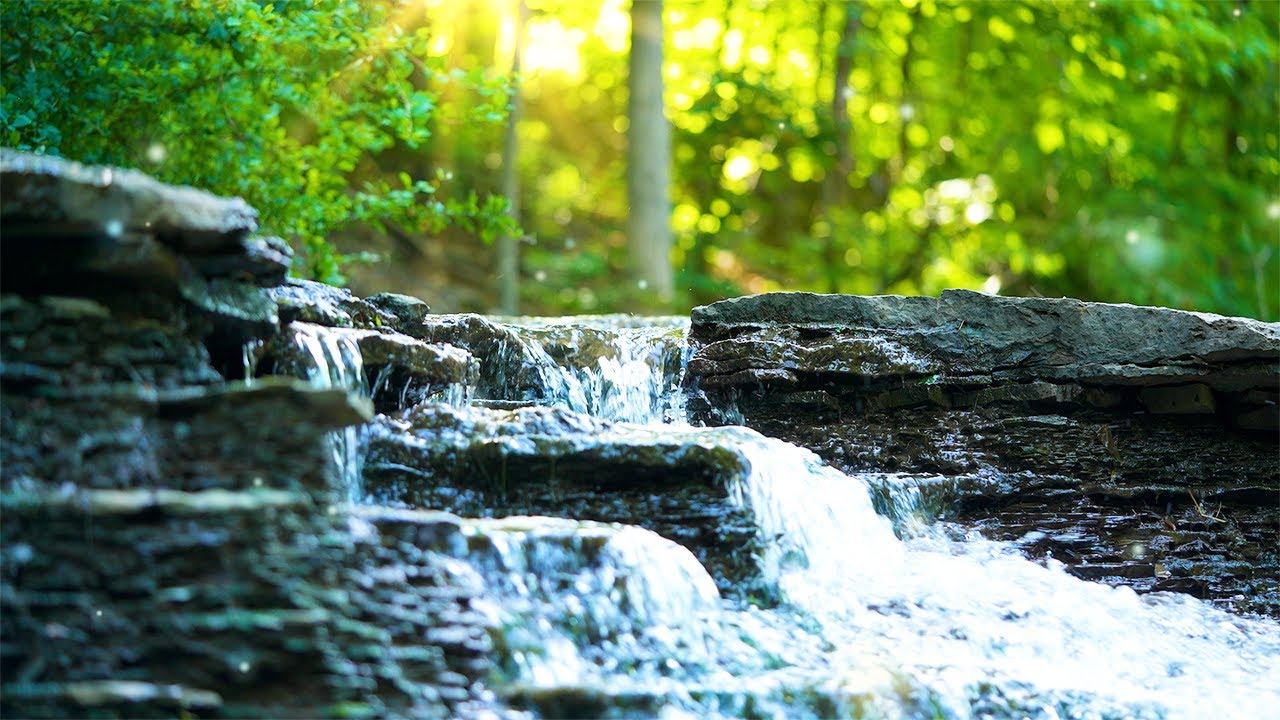 Relaxing Music and Water Sounds Sleep Music, Stress Relief, Meditation