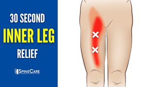 How to Relieve Inner Leg Pain IN SECONDS