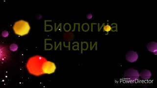 Biologija-Bičari