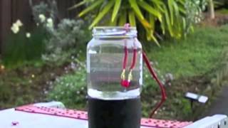 Water bombs