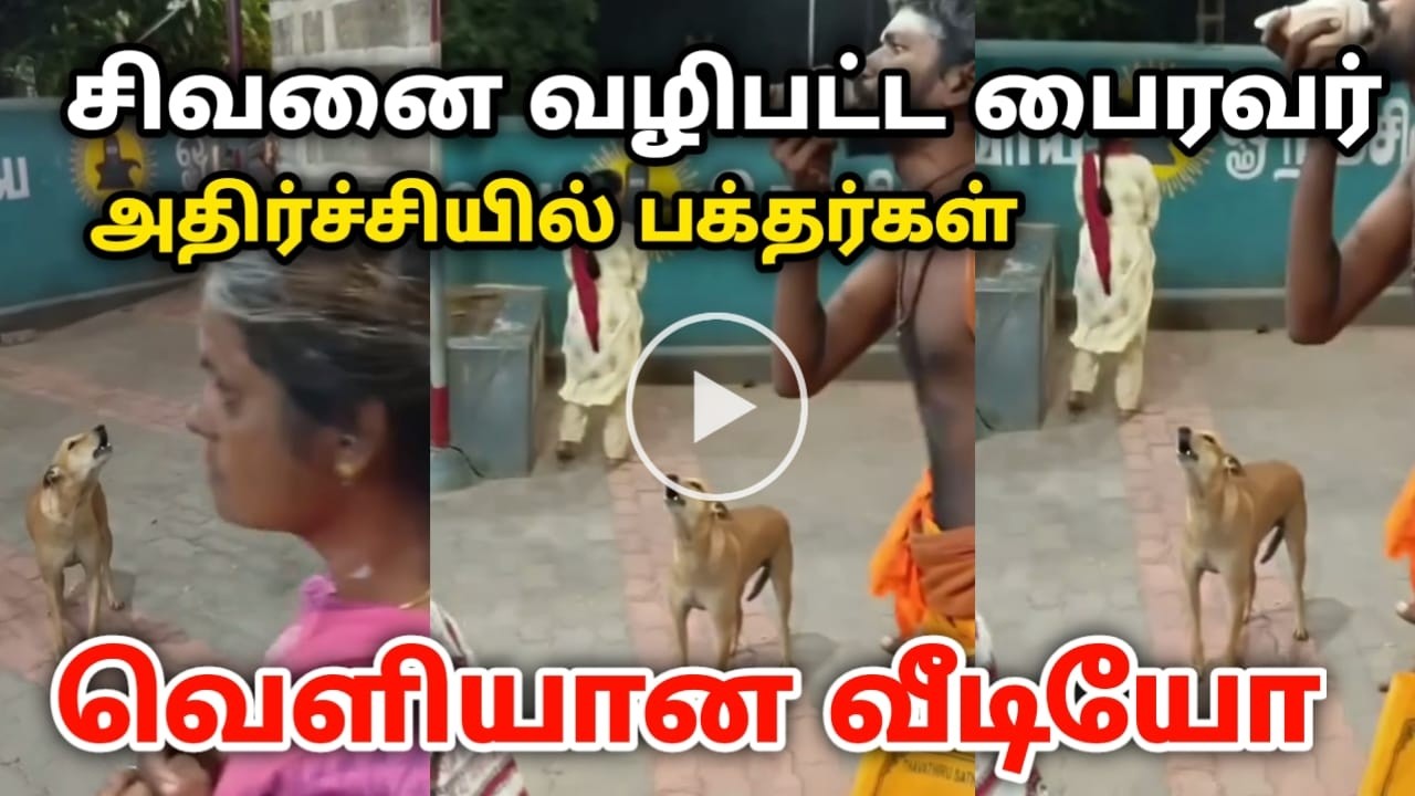 சிவனை வழிபட்ட பைரவர் அதிர்ச்சியில் பக்தர்கள் வெளியான வீடியோ !