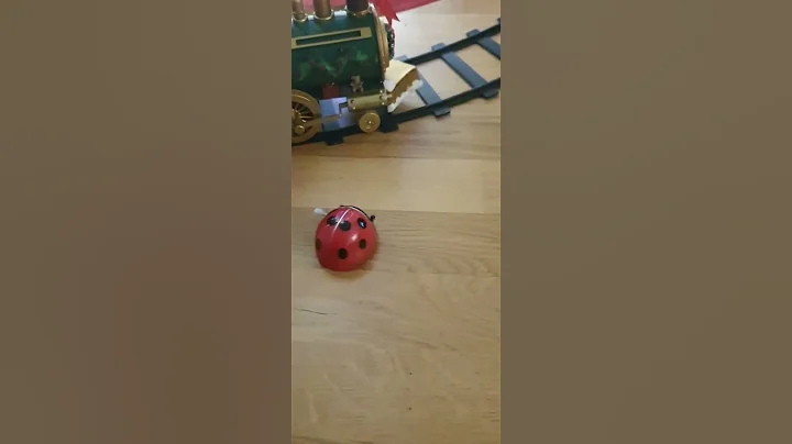 Ladybug  in Showtime 🤣🐞 #tumbling #Ladybug #insect #insects #shorts #shortfeed