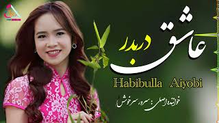 Habibulla Aiyobi  Songحبیب الله ایوبی آهنگ(عاشق دربدر)