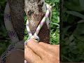 genius trick#knotrope#a#diy#handmade#camping#autdor#tutorial