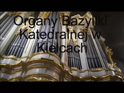 Organy Katedry w Kielcach przed przebudową