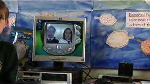 LTS: an Age of Learning. Prof Stephen Heppell