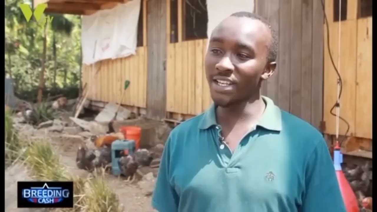 How to become a millionaire through poultry farming