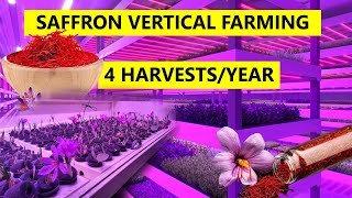 ISRAEL, Indoor farming revolution for saffron, THIS will disrupt world