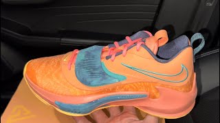 Nike Zoom Freak 3 Crimson Bliss Stay Freaky shoes