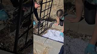 Adding Shredded Paper to Raised Garden Bed