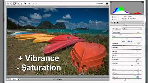 Photoshop Elements: More about Adobe Camera Raw File Format - DayDayNews
