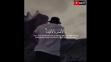قل هو الذي أنشاكم وجعل لكم السمع و الأبصر والأفدة   .. سورة المُلك