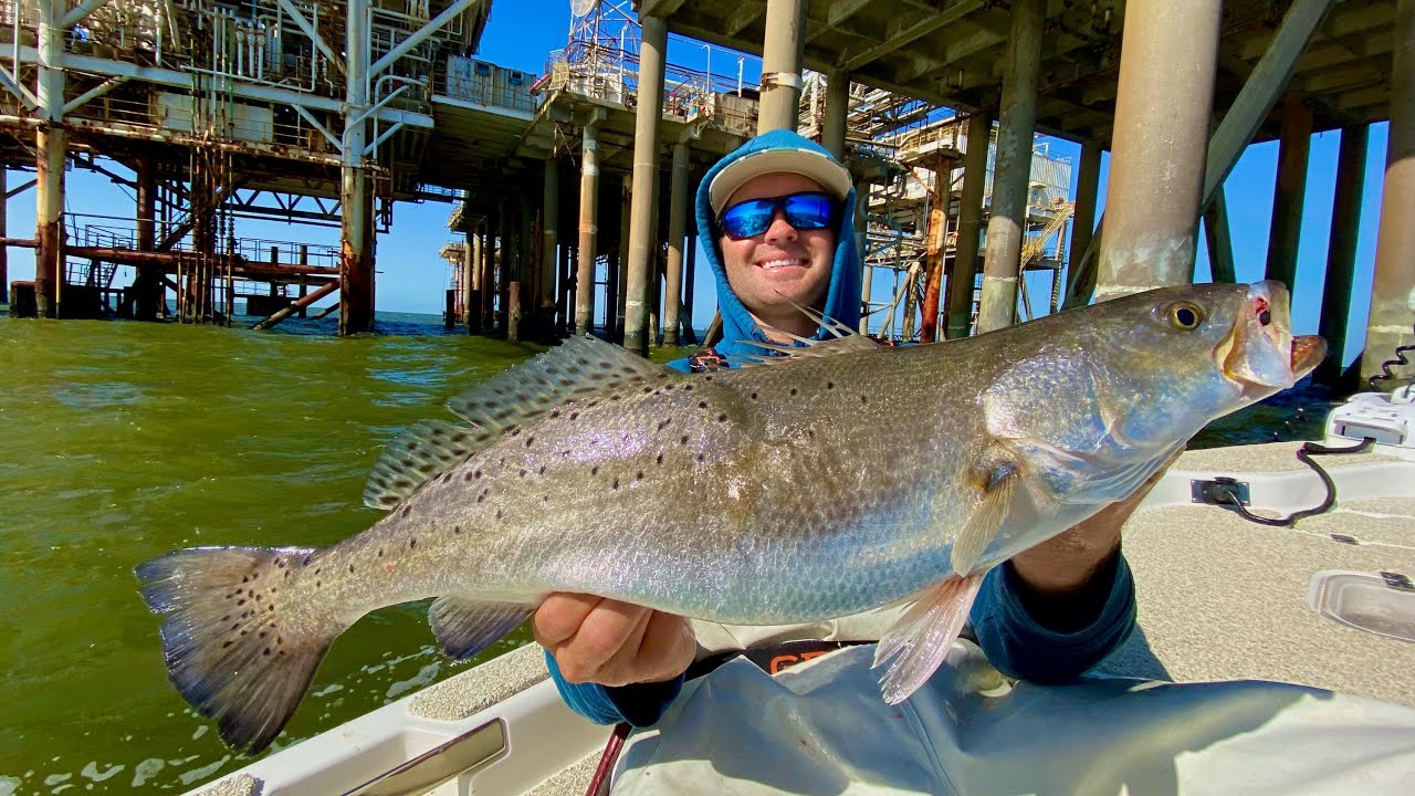 We Caught BIG Speckled Trout at BIG Platforms! 