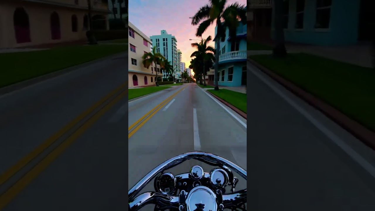 Miami mornings, palm trees, and Harley vibes—riding into the perfect sunrise 