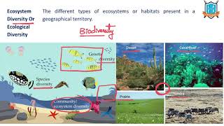 What is Ecosystem Diversity ? || Ecosystem Diversity అంటే ఏమిటి? || La Excellence
