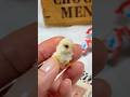 モールで作る小さなひよこ🐣How to make pipe cleaner chick！Happy Easter ハンドメイド