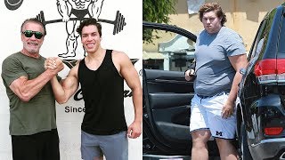 Arnold Schwarzenegger Sons - 2018 (Joseph Baena | Patrick & Christopher Schwarzenegger) Net Worth