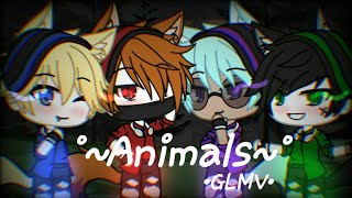 Ppg × Rrb ||●Animals●||•GLMV•||