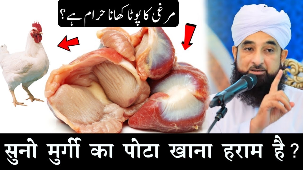 Murgi Ka Pota Pathri Khane Wale Zaroor Dekhe Important Bayan Molana Afzal Qadri YouTube