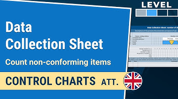 Data Collection Sheet: Counting non-conforming items | Control Charts att. 1-1.2| IHDE Academy