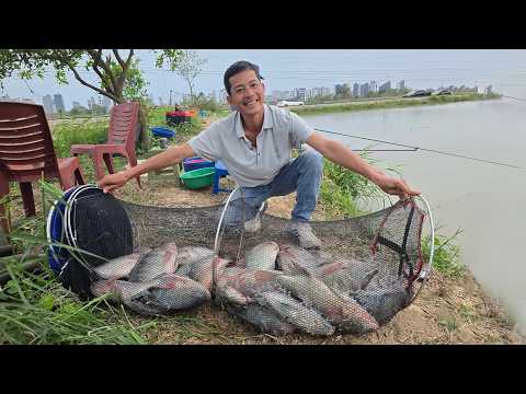 Bài Mồi Câu Rô Phi Tự Nhiên Hiệu Quả | VIETNAM FISHING TV
