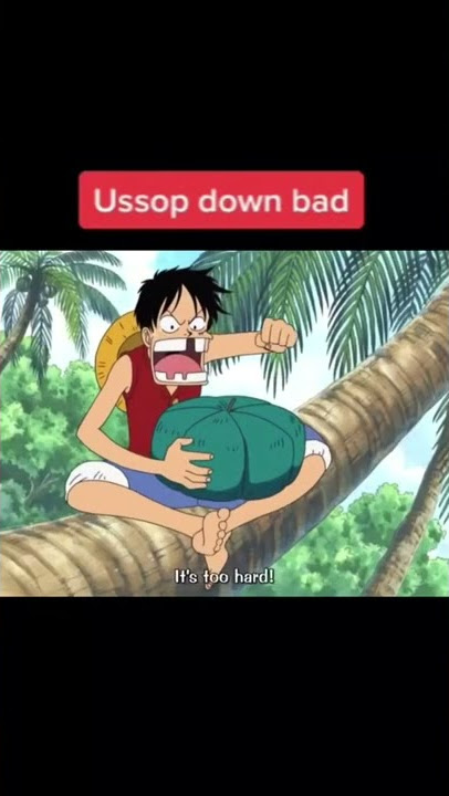 one piece funny moments 😂