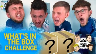 HOUSEM4TES EXTREME WHAT'S IN THE BOX CHALLENGE