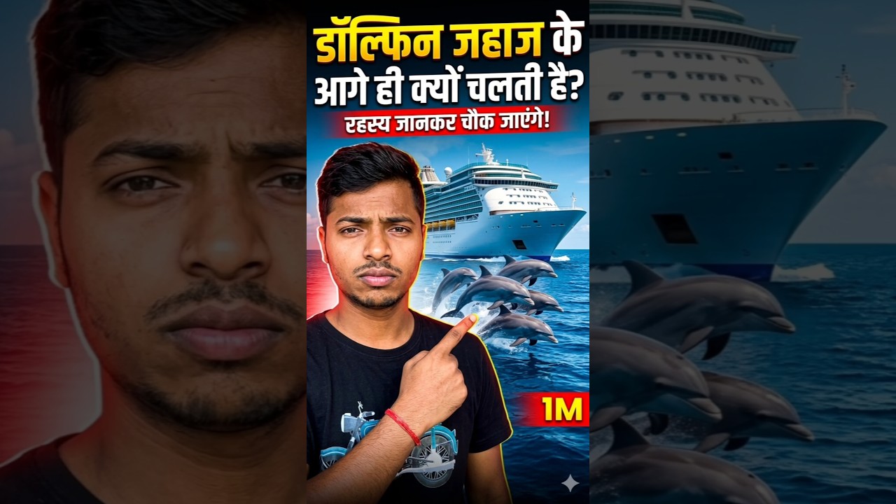 डॉल्फिन हमेशा जहाज के आगे आगे क्यों चलती है समुद्र में #shorts