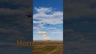 F/A-18 vs Su-33 | DCS | Contention SARH 1 Server #dcs #dcsworld #simulator #aviation #shorts