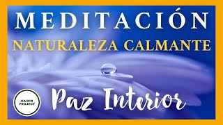 Meditación Guiada Paz Interior. Conexión con la Naturaleza Calmante  Mindfulness y Gratitud