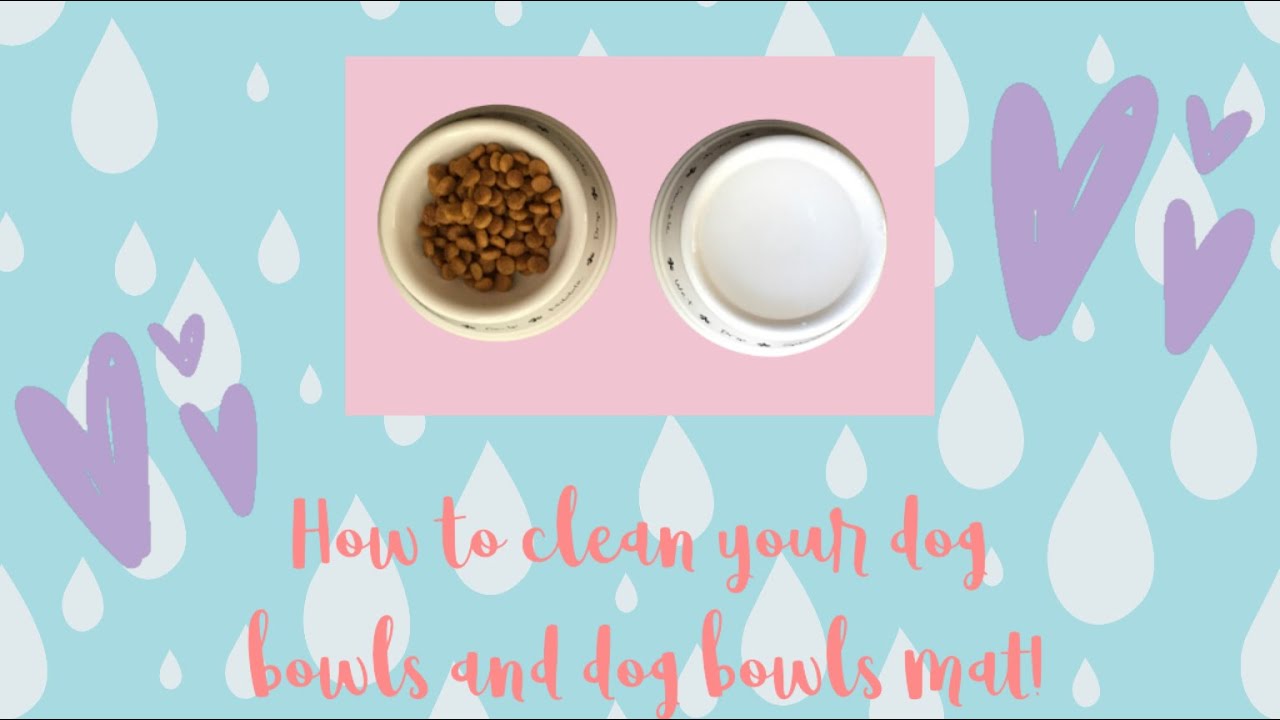 How To Clean Your Dog Bowls and Dog Bowls Mat! | Pet Vlogs Furever