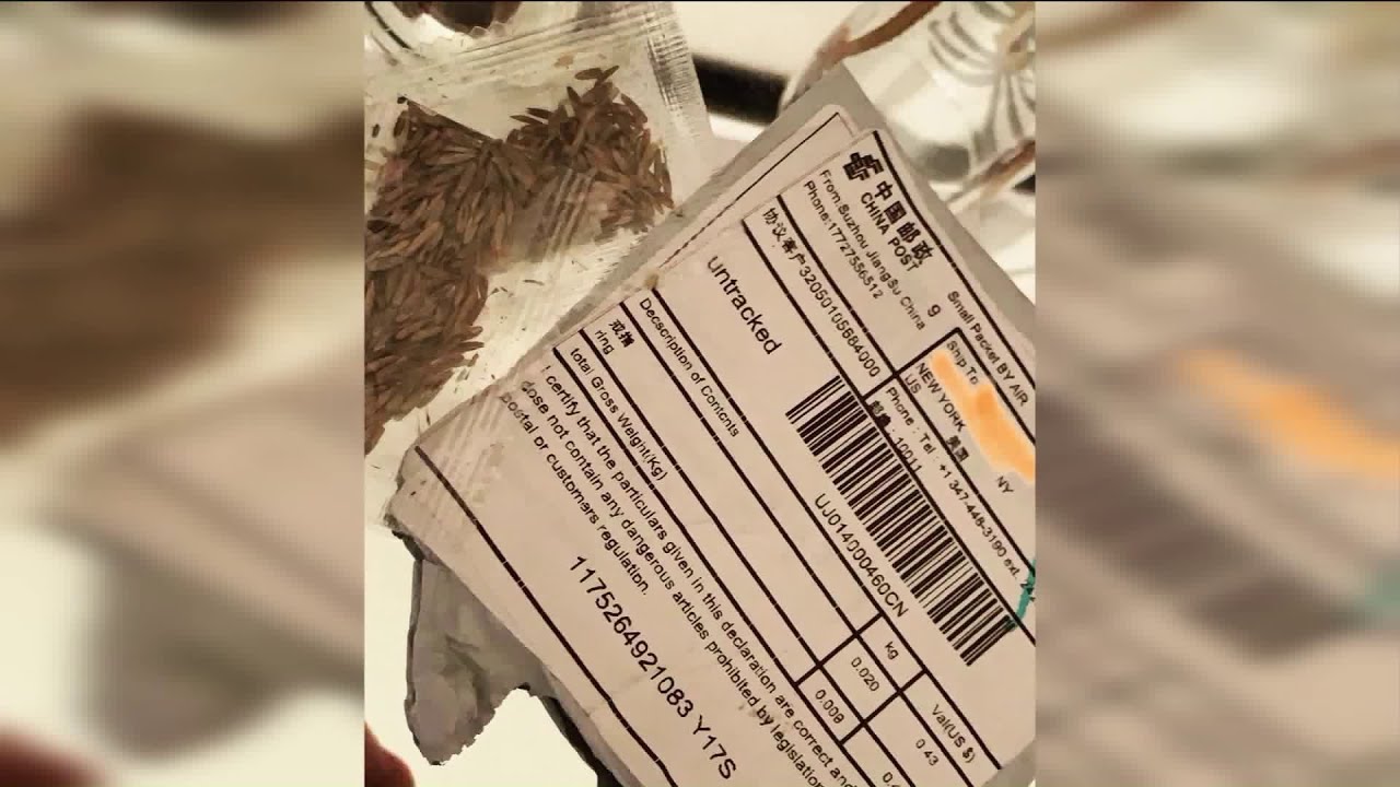 Mysterious seeds sent from China to Utah