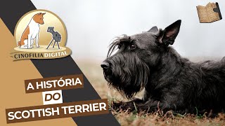 A história do Terrier Escocês | Cortes Cinofilia Digital by Cinofilia Digital 373 views 2 weeks ago 3 minutes, 7 seconds