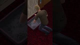 Cleaning the Cat Litter Tray | The Sims 2 | shorts