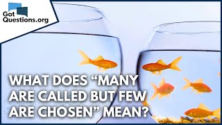 What does “Many are called but few are chosen” in Matthew 22:14 mean?  |  GotQuestions.org