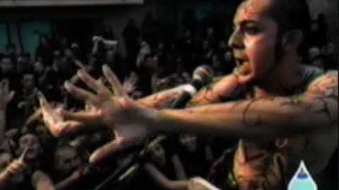 System of a Down-Innervision self made music video