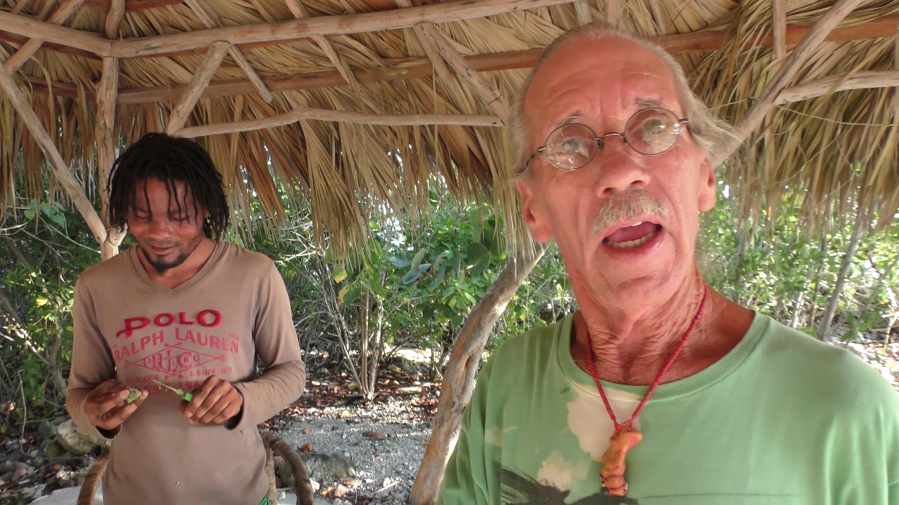 Trimming on the Beach - CORAL COVE RESORT