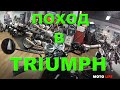 Магазин TRIUMPH