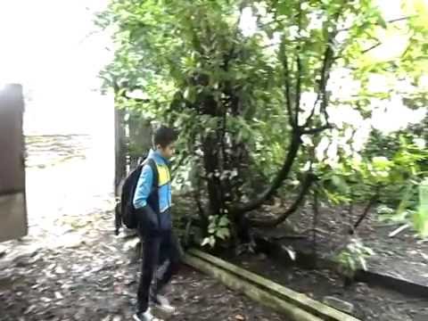 ოჯახური ძალადობა