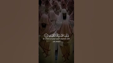 | القرآن الكريم | القارئ الشيخ ياسر الدوسري قرآن كريم راحة نفسية❤️