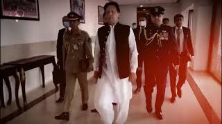 12 Bande || Fear Of PDM - Imran khan edit