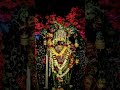 🌺🙏#shorts#bhakti#reels #trending#ytshorts#navratri #chaitranavratri#2026#maa #durgapuja#music#status