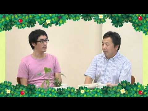 Vídeo: Tráiler De Animal Crossing 3DS Mostrado En Japón
