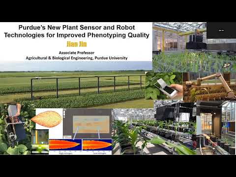 Prof Jian Jin ABE Purdue S New Plant Sensor Robot Technologies For Improved Phenotyping Quality