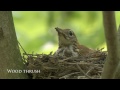 The State of the Birds 2014